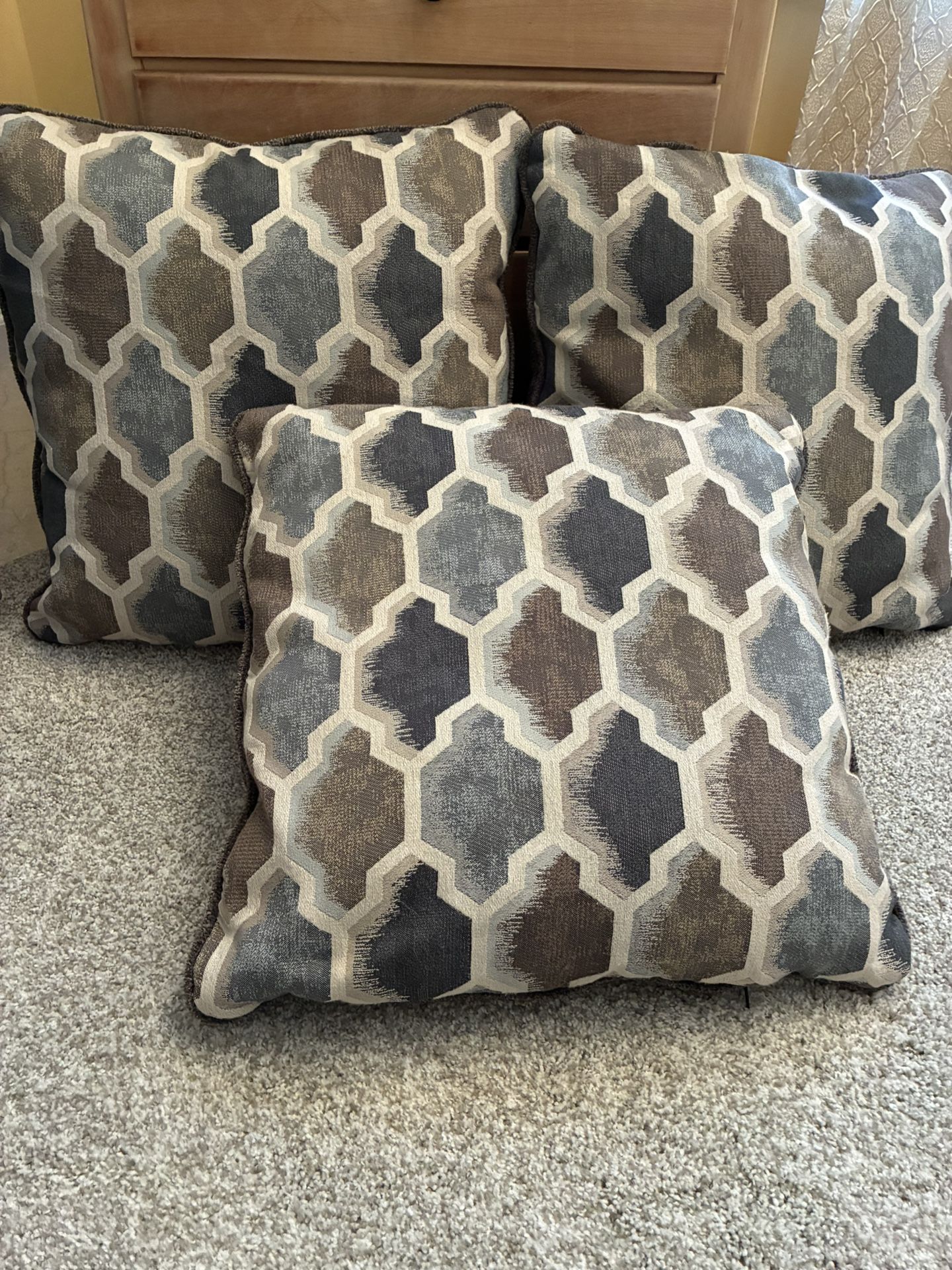 4 Brand New Sofa Pillows!