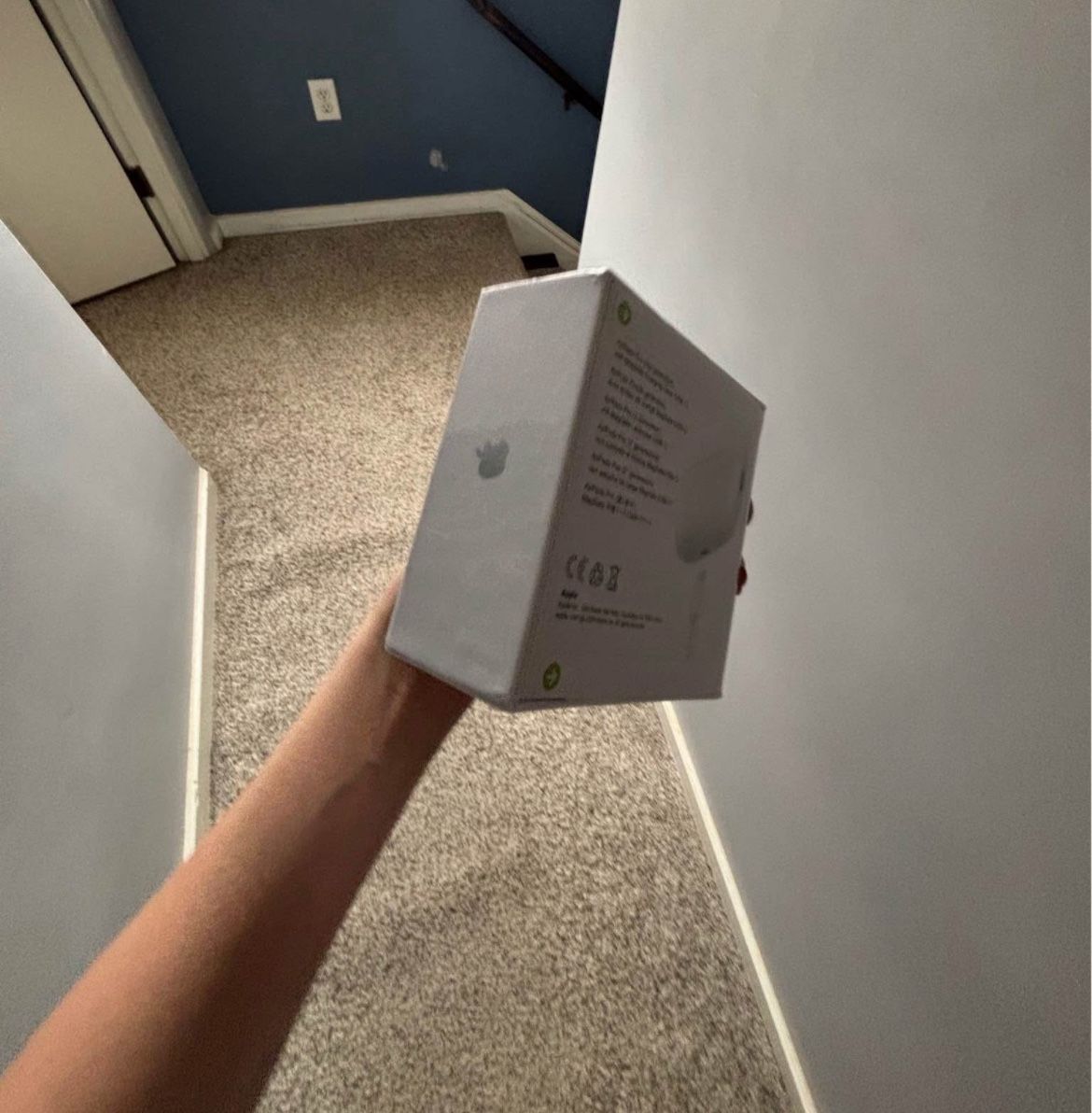 Apple Airpod Pro 2s