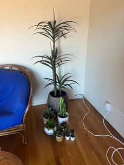 Assorted Faux Plants and Succulents with Decorative Pots