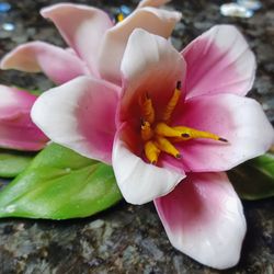 Capodimonte Porcelain Flowers  (N)