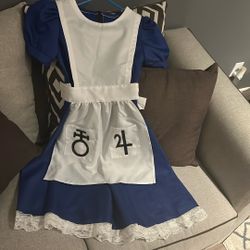 Alice in wonderland PC game costume