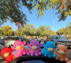 Squeezy Highland Cow Squeeze Toys