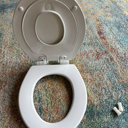 Two Clean Toilet Seats with Built-In Toddler Potty Training Seats