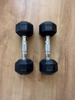 10 lbs  Dumb Bells