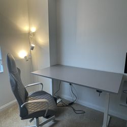 IKEA Rodulf gray sit/stand desk