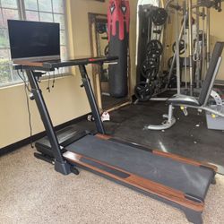 Nordictrack Proform Treadmill Desk