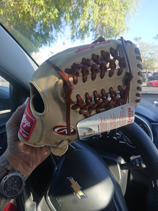 Professional Baseball Glove