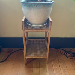 Plant Stand 