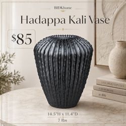 Black Cactus Vase
