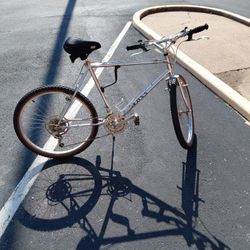 Bicycle