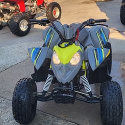 2019 Polaris Outlaw 110