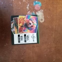 65 Black Ink Cartridge