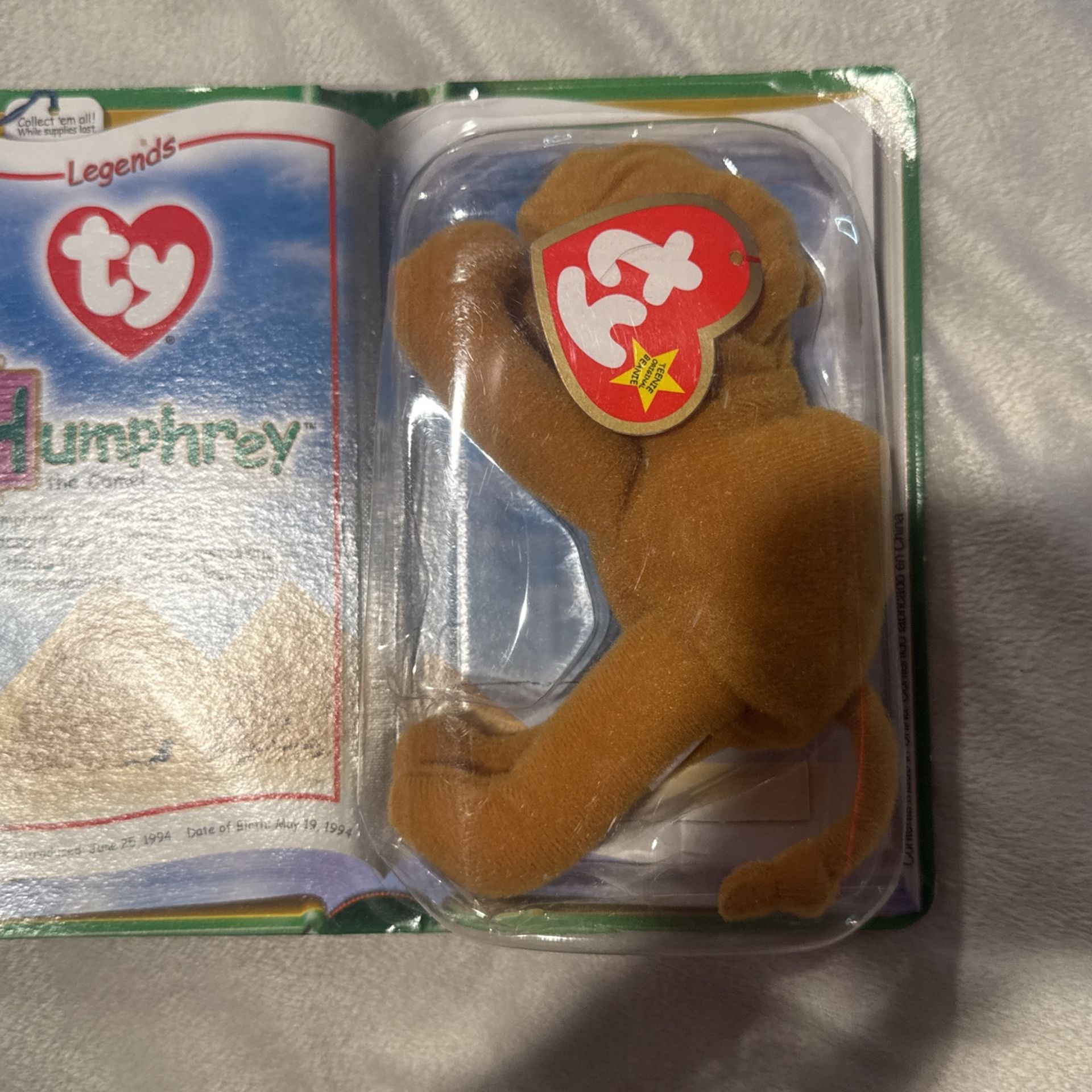 humphrey the camel