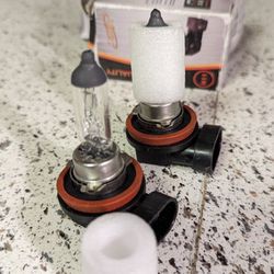 H11 Low beam Headlight Bulbs