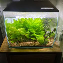 15 Gallon Fish Tank Fluval Flex (White)