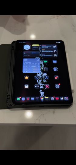 iPad Pro 11 inch (M4)