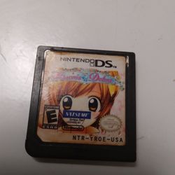 Nintendo D.S Princess Debut