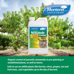 Monterey Nematode Control Quart 🤩