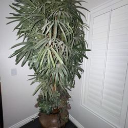 Fake House Plant