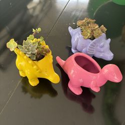 Dino Planters