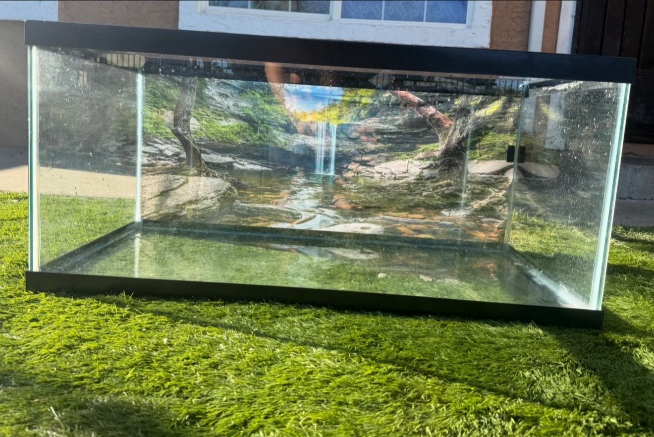 40 Gallon Fish Tank