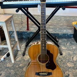 Ibanez SG110 Acoustic Guitar 