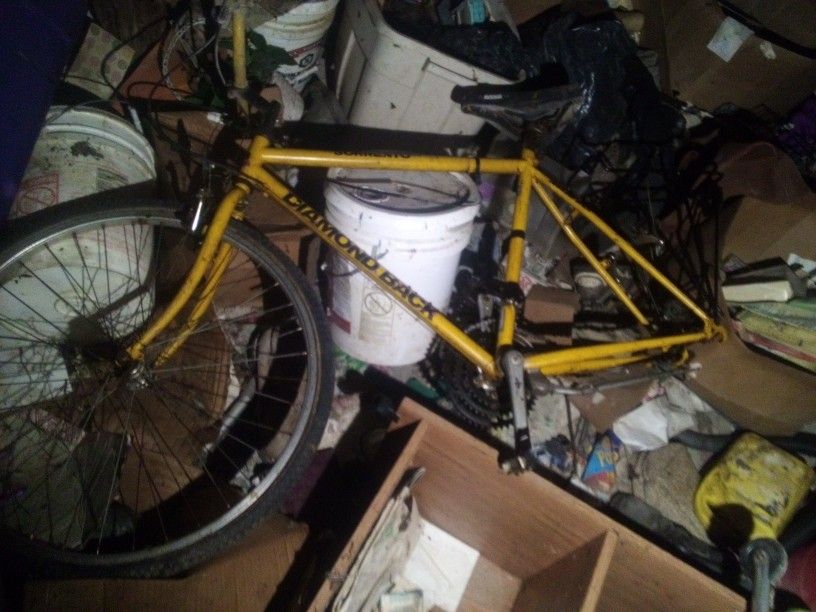 Diamondback Mountain Bike