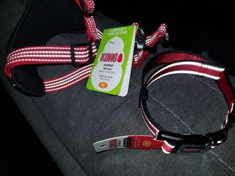 kong collar and harnest brand new for medium dog red reflection