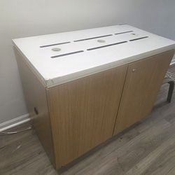 2-Door Storage Cabinet Natural Wash wood