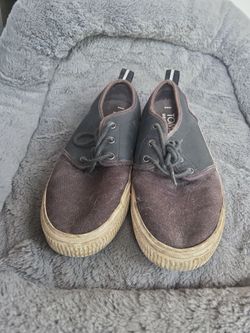 Tom's Men's Shoe