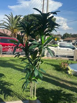 7 ft new in box artificial plant