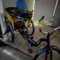 3 Wheel bicycle
