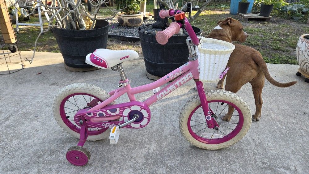 Joystar Petal 14 Inch  Girls Bike