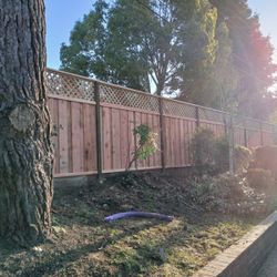 Fence Retaining Walls Decks And More