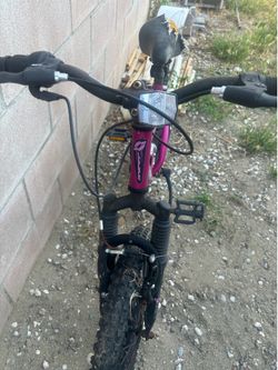 Free bike