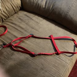 Red Horness & Collar