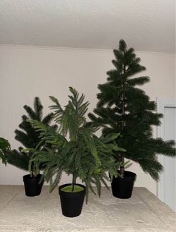 Christmas Decor