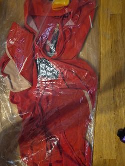 Angry Birds Red Bird Halloween Costume