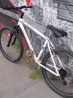 Specialized Rock Hopper SuperBike