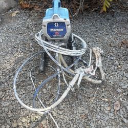 Paint Sprayer Magnum 