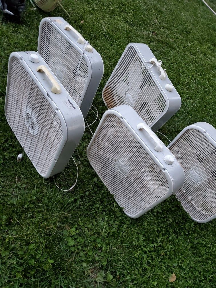 Box Fans