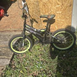 Ninja turtles bike