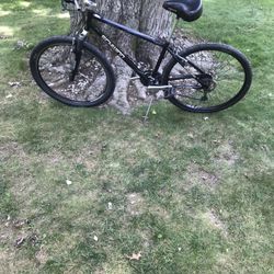 29” Schwinn Mountain Bike (needs Repair)