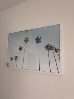 Large Framed California Palm Tree Print – White Frame