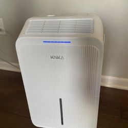 Dehumidifier for Large Rooms 