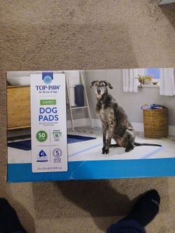 TOP PAW JUMBO DOG PADS (50) COUNT $15
