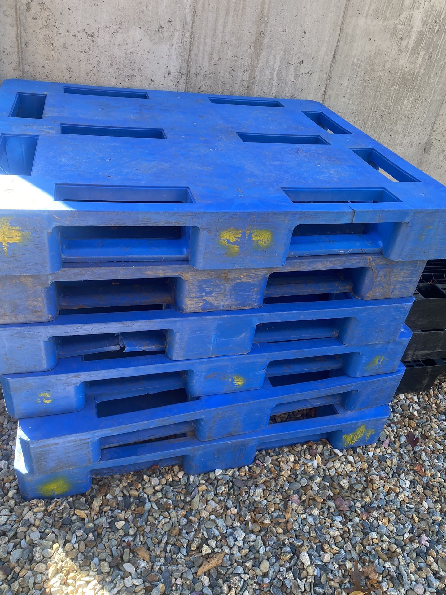 Euro Pallet