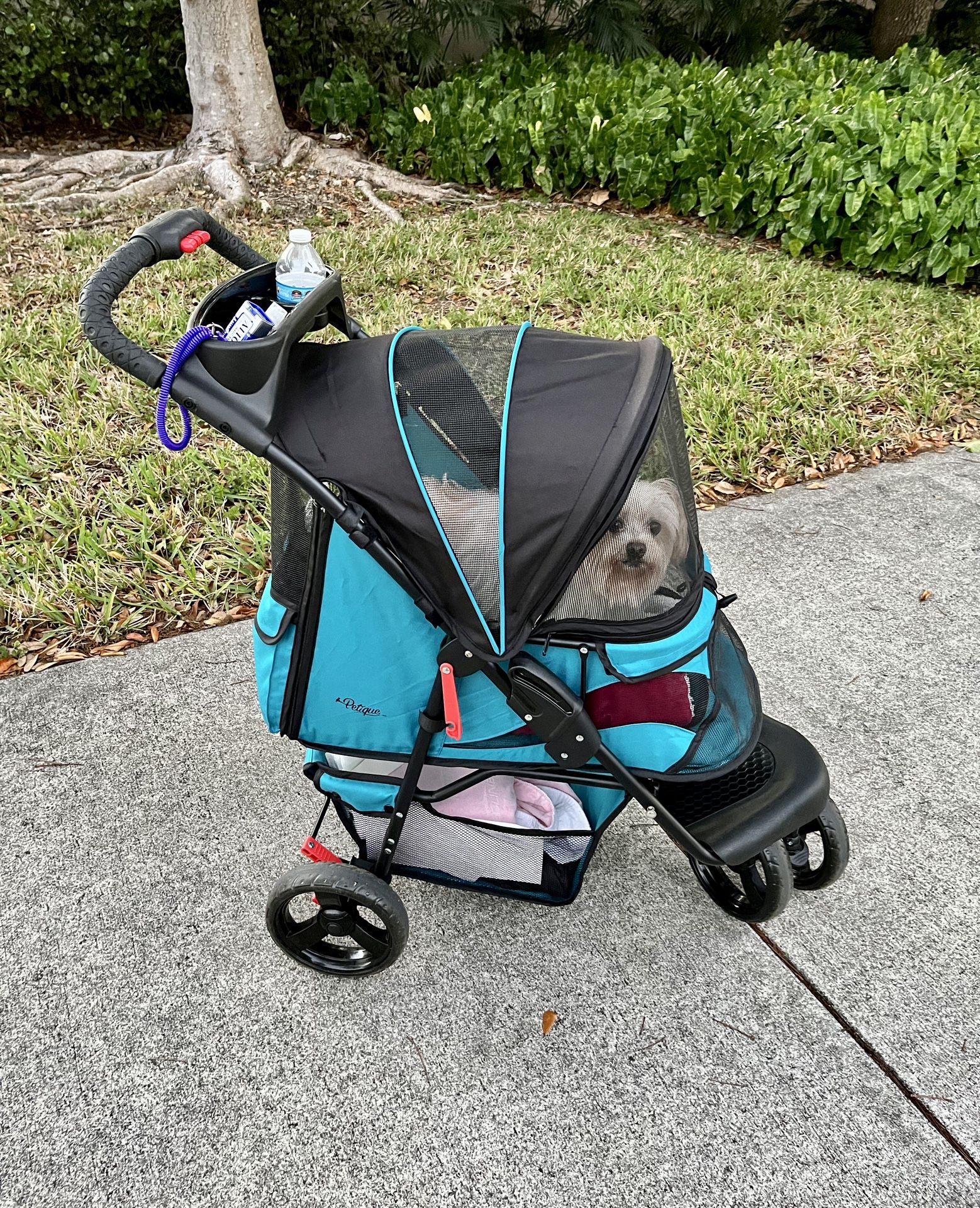 Petique Durable Sturdy Pet Turquoise Stroller - High Quality, Easy Fold, Large tires...for Small to Medium Dog, Cat, Bunny