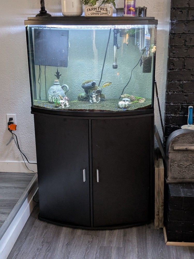 33 Gallon Tank & All