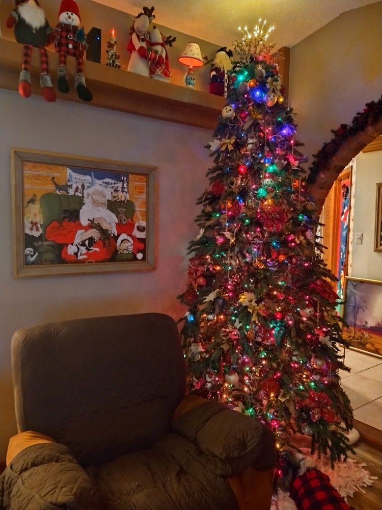 9Ft. Realistic Frazier Fir with Pine Cones Box & Stand